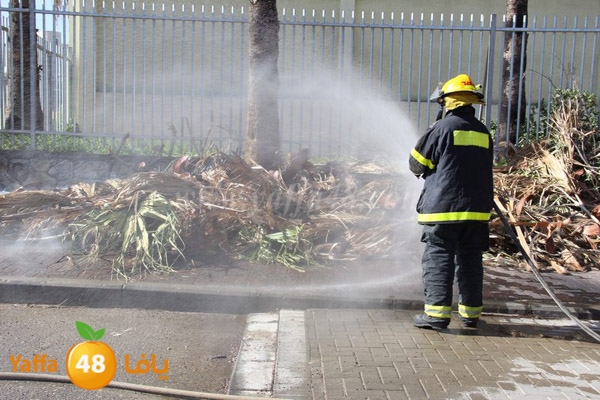 fire 7ekma 0212 (5).JPG